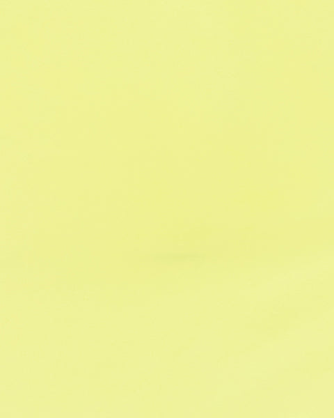 CAMERON SKIRT CITRON