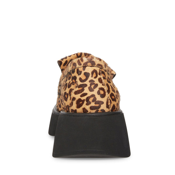 HAYDAN LEOPARD
