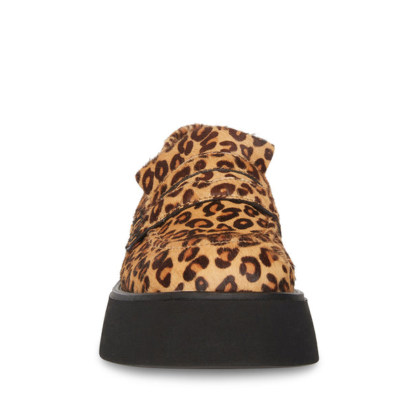 HAYDAN LEOPARD