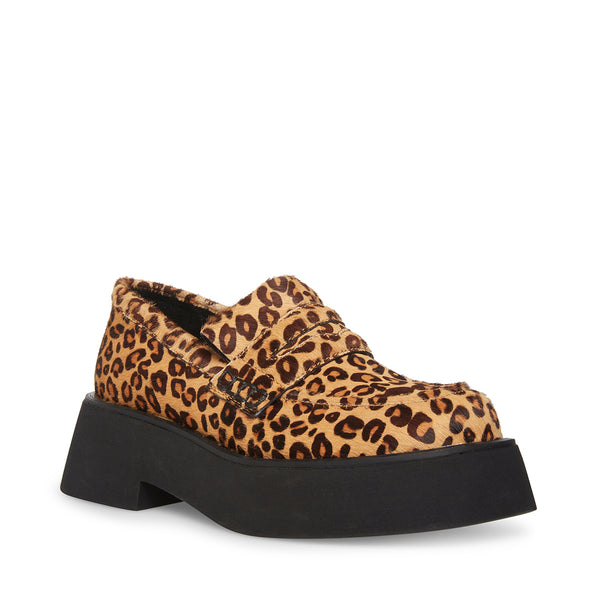 HAYDAN LEOPARD