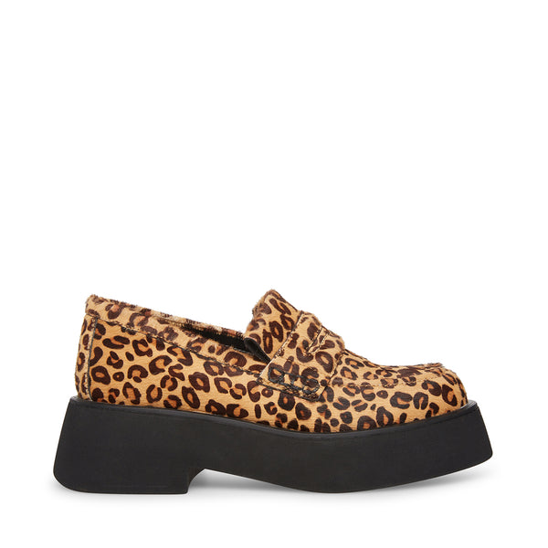 HAYDAN LEOPARD